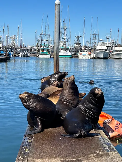 Pacific Seafood - Westport