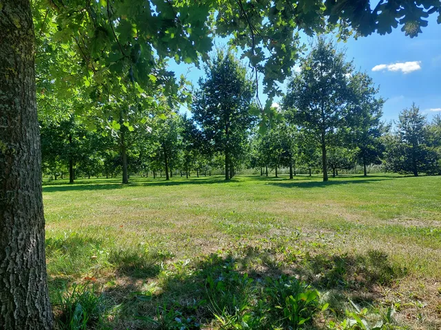 Park Zwanenburg (Spaarnwoude Park)