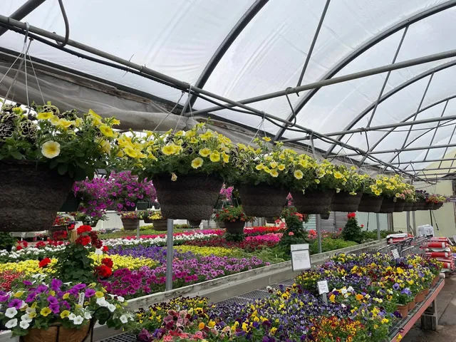 Bergmann's Greenhouses