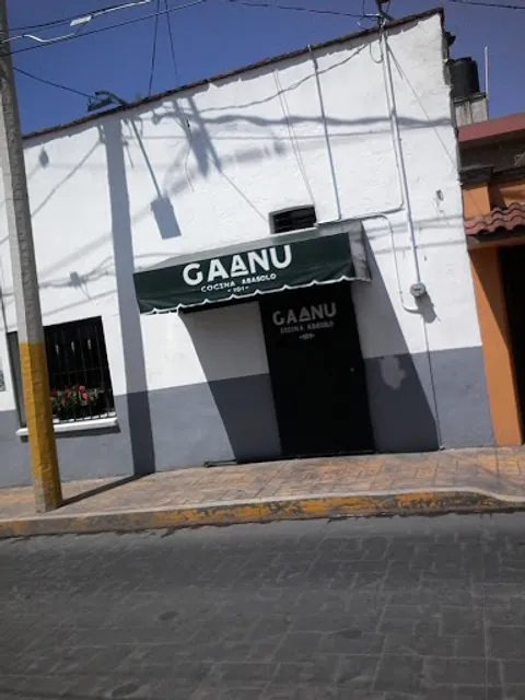 Gaánu cocina Abasolo 101