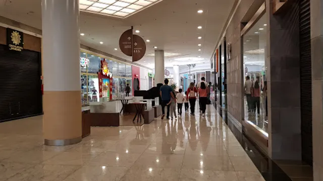 Bello Pastel Catuaí Londrina