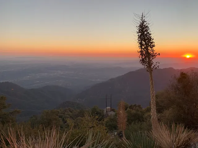 Mt. Wilson