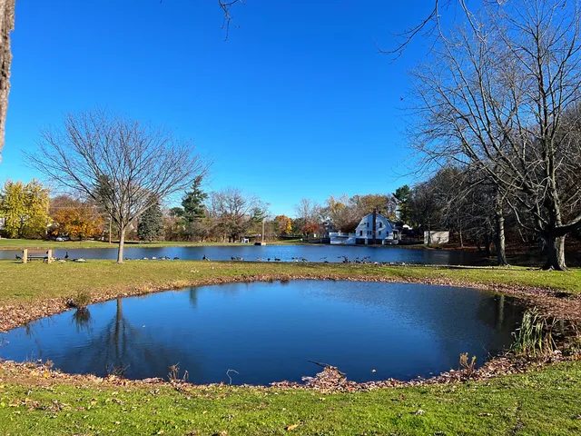 West Hartford Beechland and Dog Parks