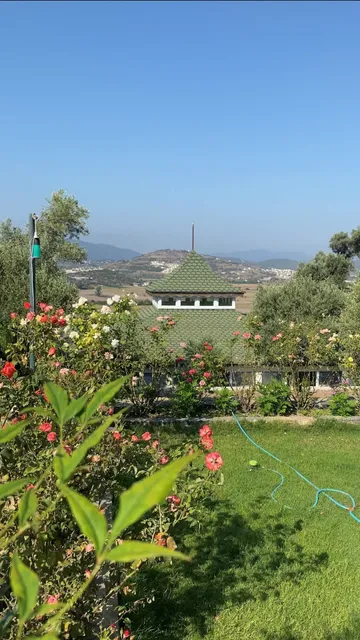 Olive Garden Retreat (Yoga/Meditation Center, Organik Dükkan)