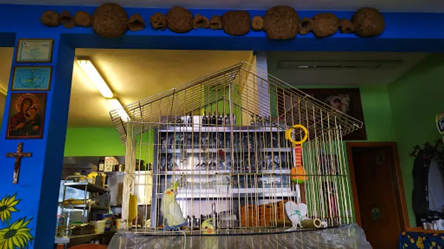 Diver & Kalymnia - Fish Restaurant in Alonnisos