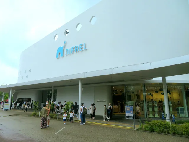 ミュージアムショップ NIFREL×NIFREL