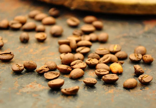 Kaffee-Rösterei Bogatz