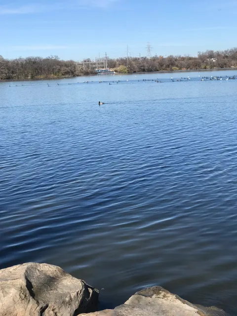 Lakeshore at Lady Bird Lake Metropolitan Park