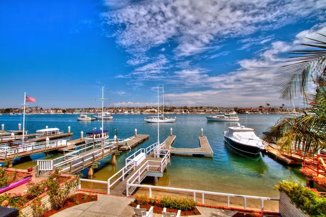 Luxury Real Estate - Steve Roose - Broker & Owner