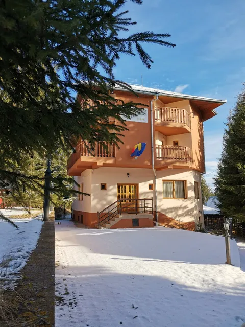 Pensiunea Patru Brazi