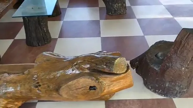 Corbett View Resort ®