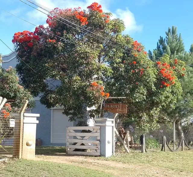 Cabañas Los Botes (La Paloma)