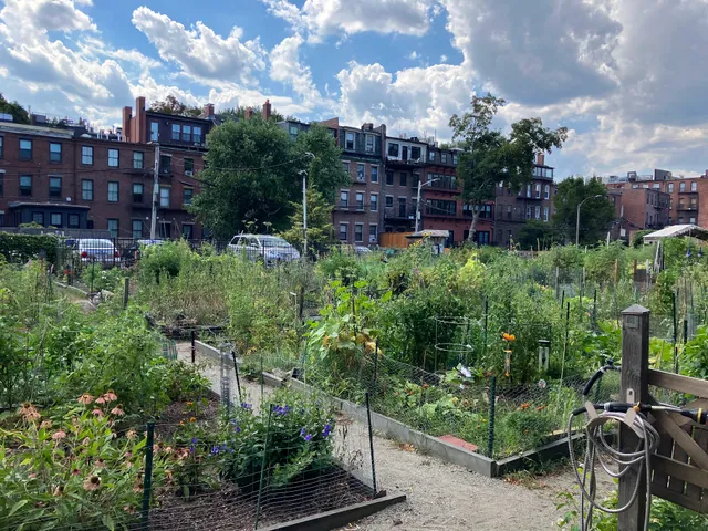 Worcester Street Community Garden
