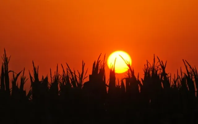 Scribner Insurance Agency