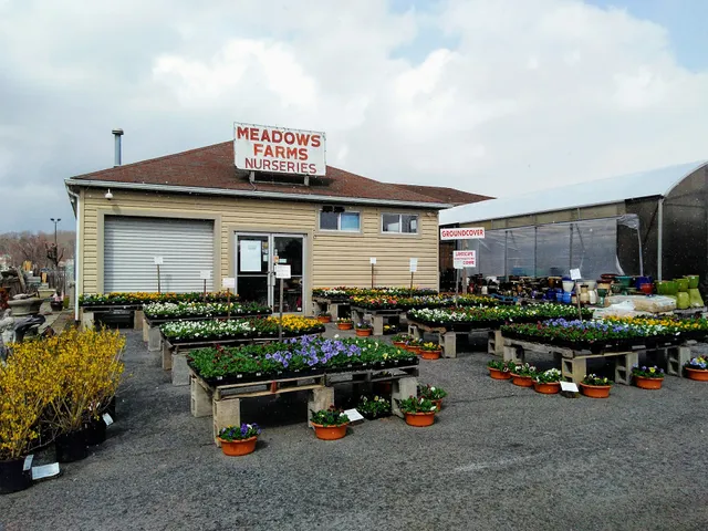 Meadows Farms Nurseries and Landscape
