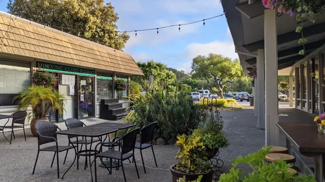 Downtown Novato Center