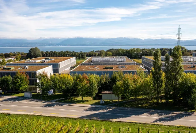 A-One Business Center