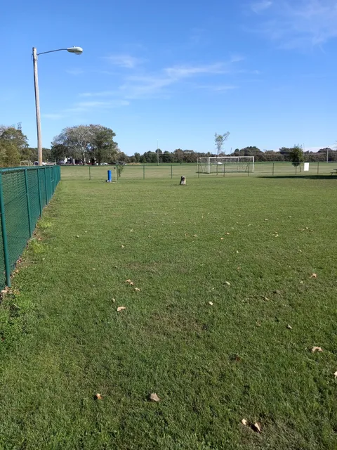 City of Martin Dog Park