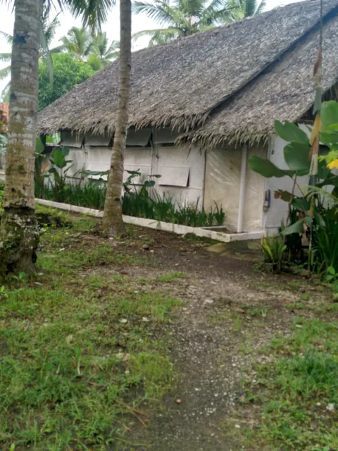 d'Jarwo House@Batukaras