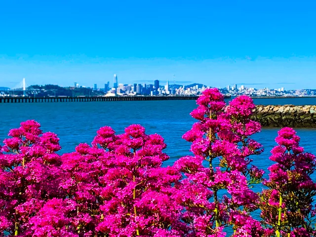 Berkeley Marina, Dock K