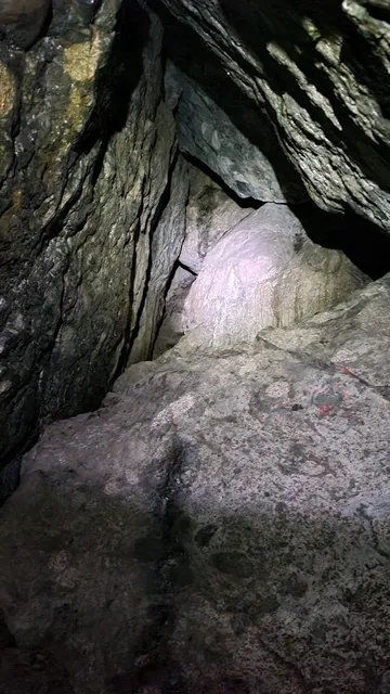 Sasquatch Cave trail