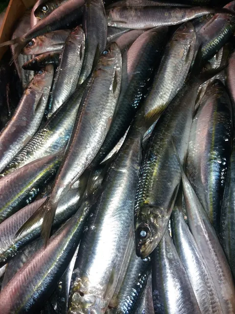 Pescheria di Alessandro Scatta