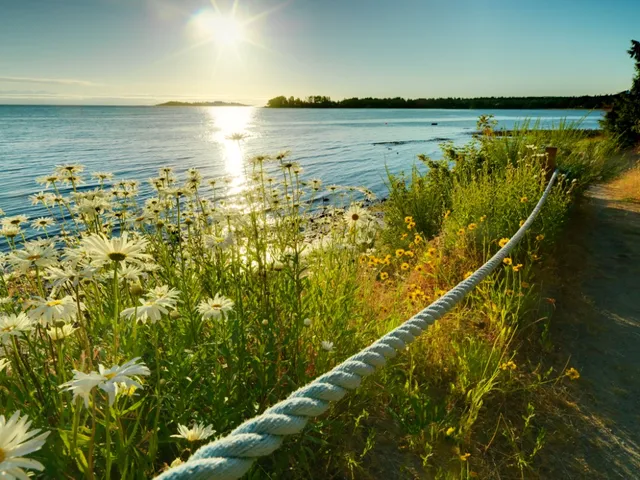 Sunrise Resort Parksville Ltd.