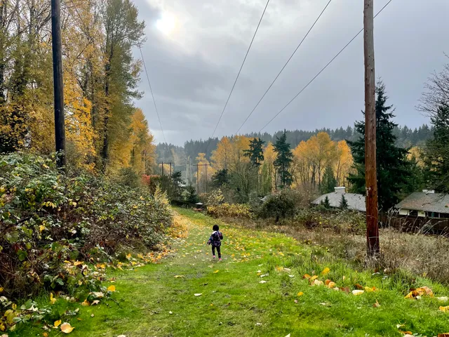 Forest Hill Neighborhood Park