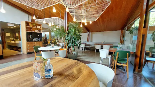 Manu Tenório Culinária Saudável - Jaqueira