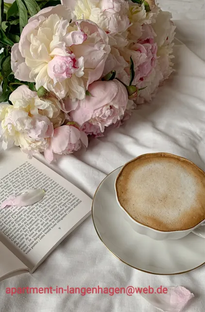 Top Apartment Langenhagen