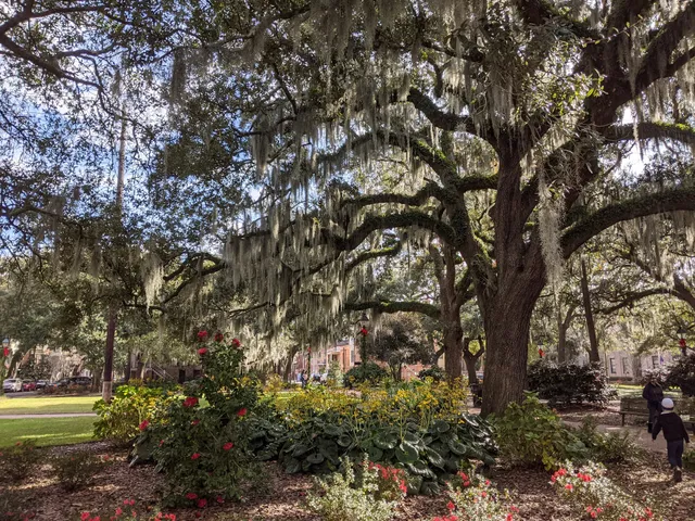 Fort On Forsyth Park