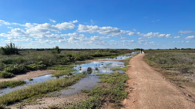 Charlie's Pasture South Trail