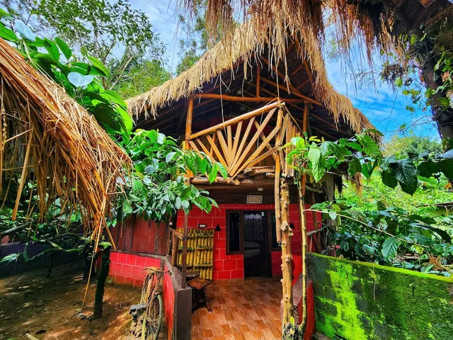 Evergreen County - India's First Adventure Veg Retreat