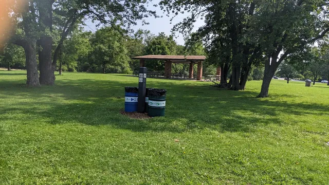 Busse Woods Grove 27