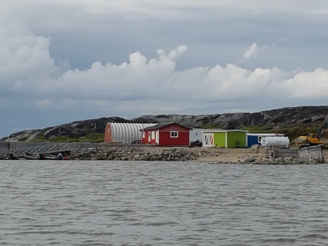 Custom Churchill Tours