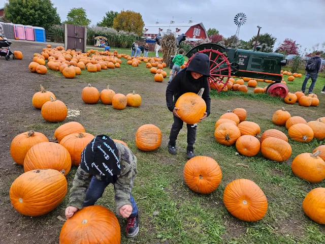 Bengtson's Pumpkin Farm and Fall Fest
