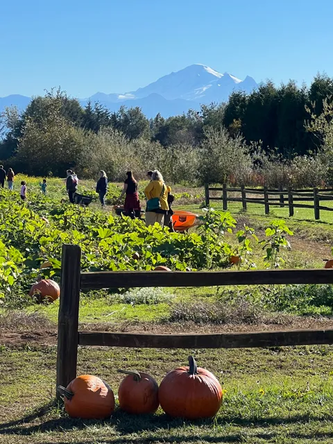 BelleWood Event Center