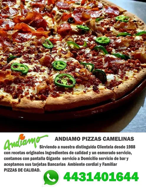 Andiamo Pizzas Camelinas