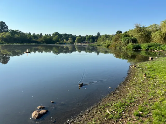 Trout Lake Off-Leash Area