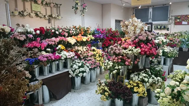 東京堂 CFL Store flent