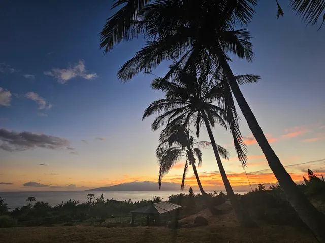 Maui Mango Mala Farm Tour