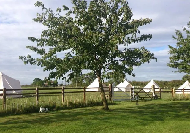 Skipbridge Farm Glamping