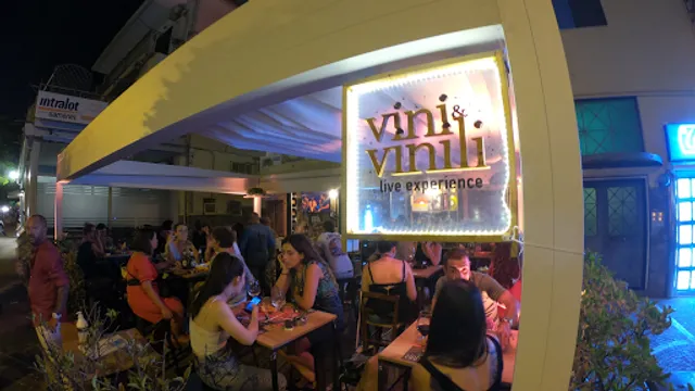 Vini & Vinili