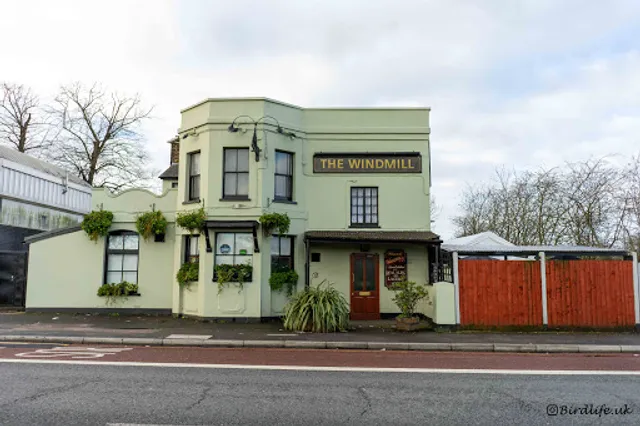 Windmill Inn