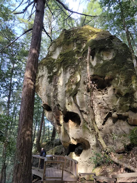 El Corte de Madera Creek Open Space Preserve