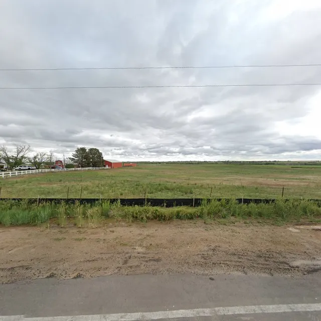 Bigfoot Auctions Inc.