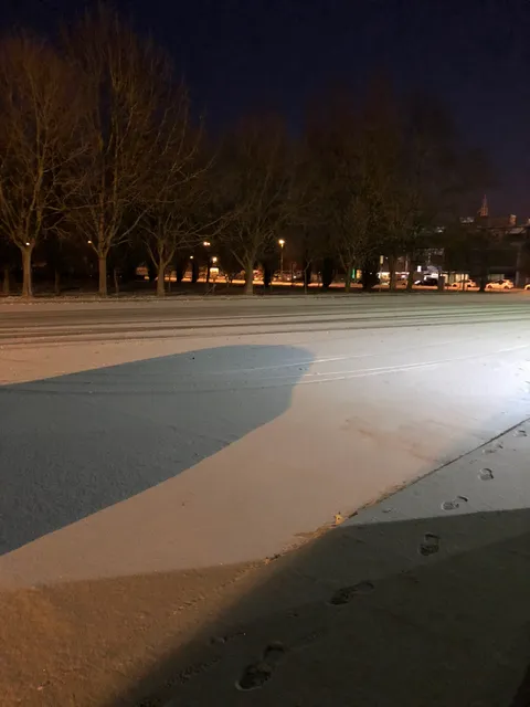 Mercato ortofrutticolo Ferrara
