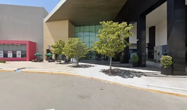 Blvd. Antonio Rocha Cordero 700 Fracc