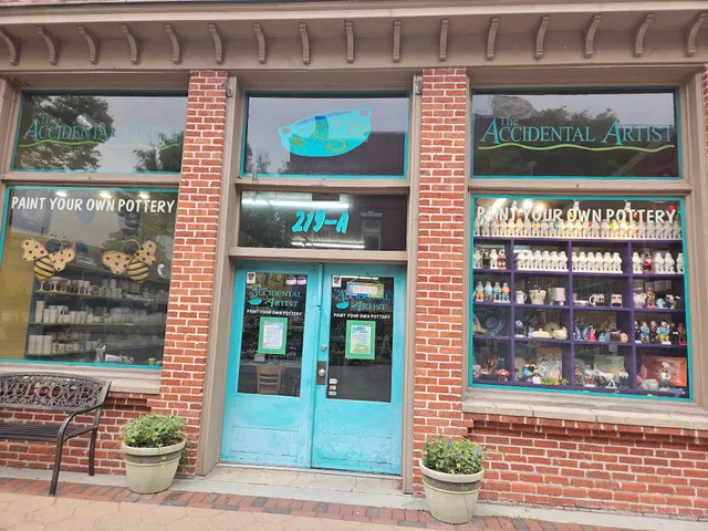 The Accidental Artist