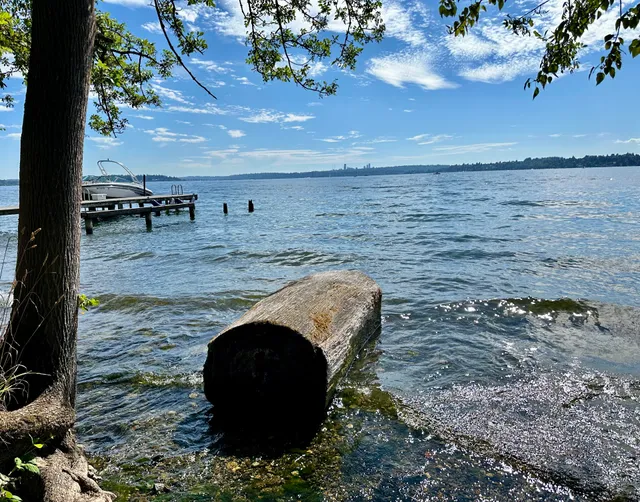 Lake Avenue West Street End Park